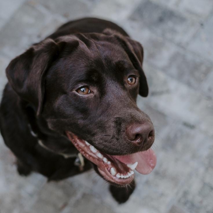 Sophie de Vries - Founder of Norv Exae Lidra